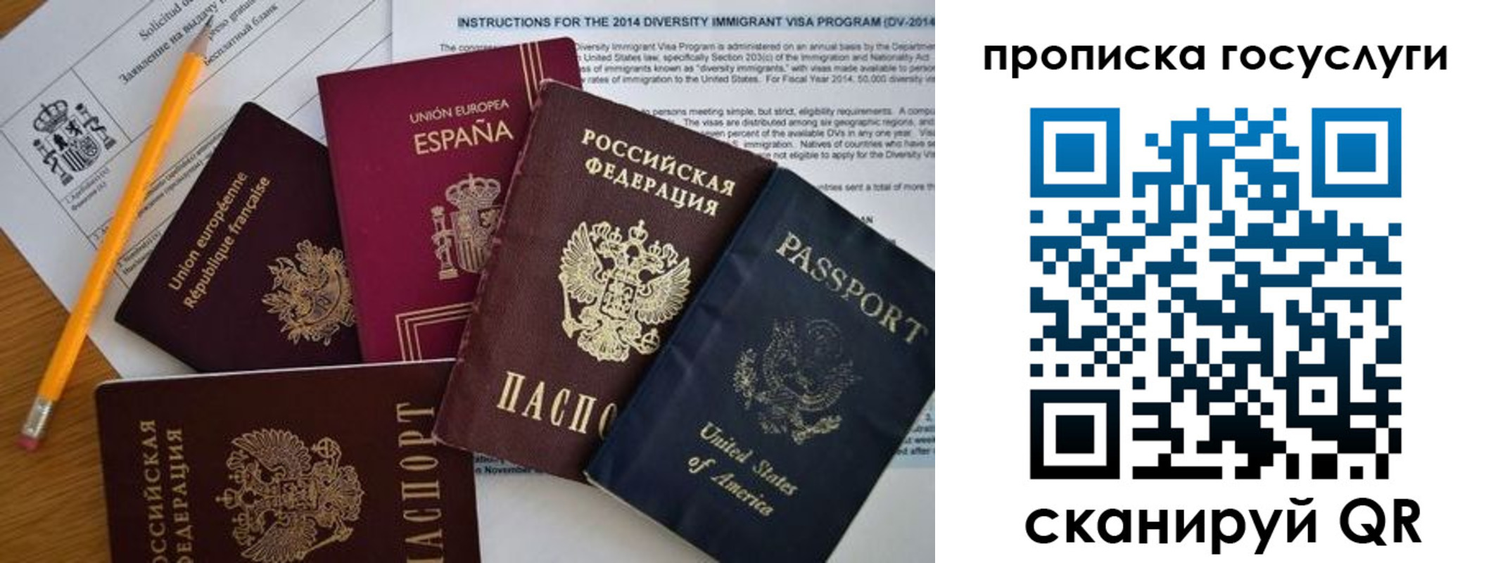 прописка гарантия в Ростовской области